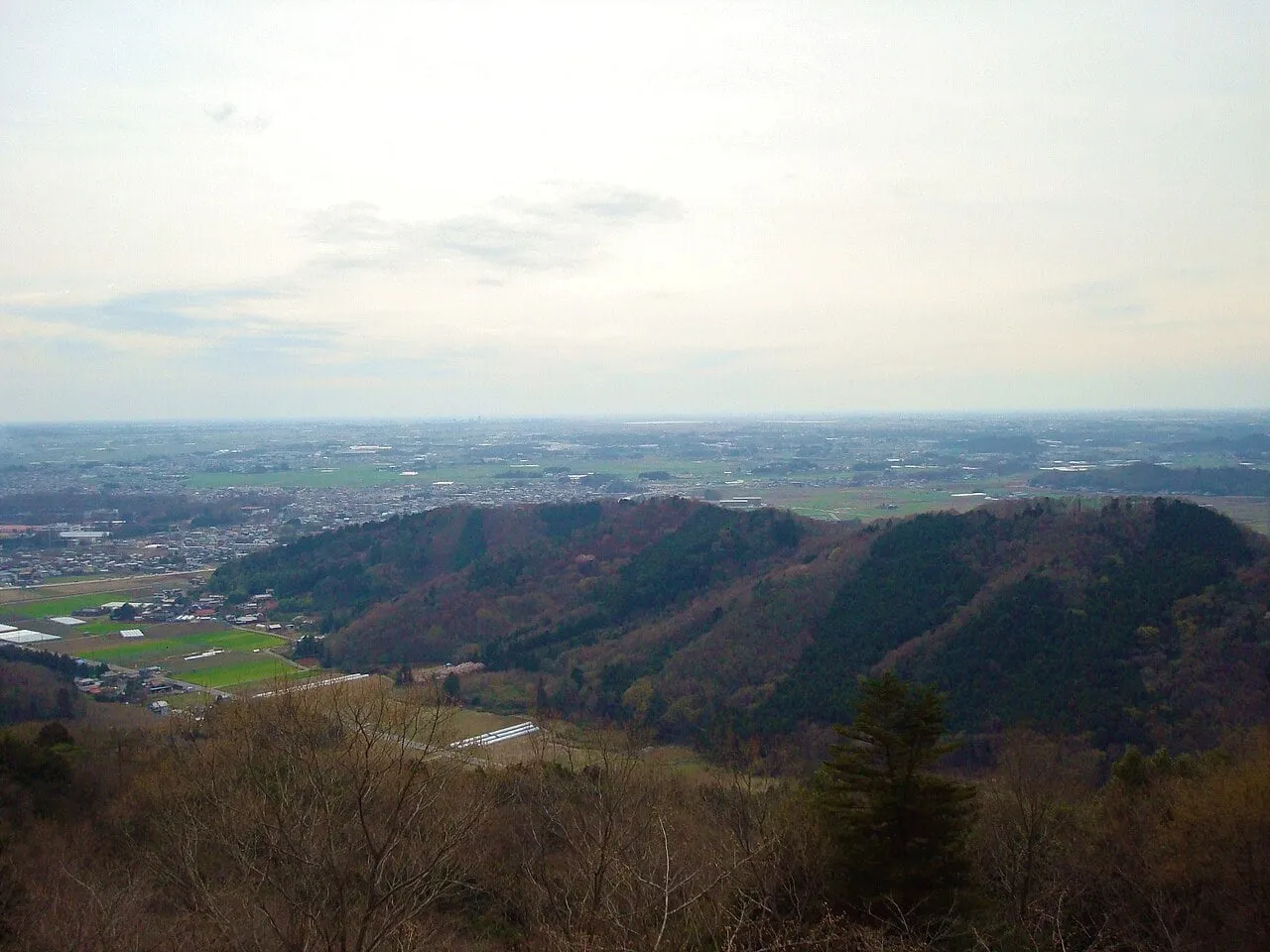 太平山の謙信平から見下ろした関東平野。手前に山の稜線、奥に平野が広がる。