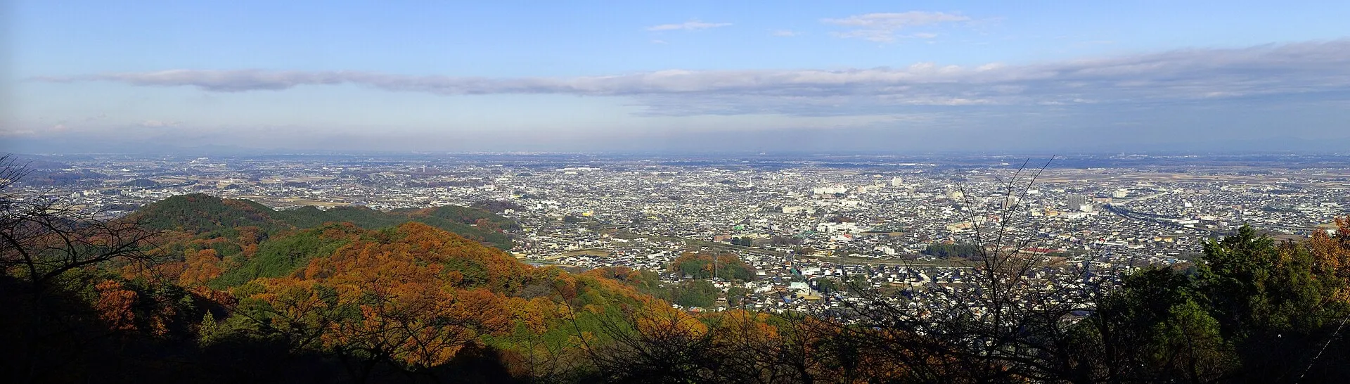 太平山の中腹から見下ろした栃木市街。手前に紅葉した山の斜面、その先に家並みが関東平野の奥まで広がる。